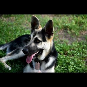 Meet your Posher, Nathan